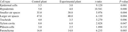 What is a plant cell size. Average Measurements Of Cell Size Âµm In Petioles Download Table