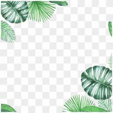 Free Leaf Border Png Png Transparent Images Pikpng Find & download free graphic resources for palm leaf. free leaf border png png transparent