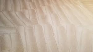 Lincoln cleaning services (11.2 miles) cropwell cleaning services (12.7 miles) pell city cleaning services (13.3 miles) riverside cleaning services (13.9. Best 15 Carpet Cleaners In Shelby County Al Houzz