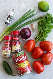 Salsa Ingredients Fresh Tomatoes Cilantro Red Onion Green Onion Garlic Chili Powder Cumin Jalapeno Can Homemade Salsa Homemade Salsa Recipe Easy Homemade Salsa