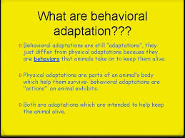 The black widow spider rarely bites people, but when it does, its venom can cause an unpleasant reaction. Behavioral Adaptations What Are T Hey What Are