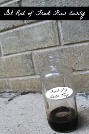 According to the experts at orkin, fruit flies are attracted to ripe, rotting, or decayed fruit and produce, as well as fermented goods like beer, liquor, and wine. Easy How To Get Rid Of Fruit Flies