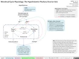 Finalized Mg Rc Yy Menstrual Cycle Physiology Doc
