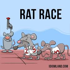 Hi Guys Our Idiom Of The Day Is Rat Race Which Means A Way Of Life In Modern Society In Which People Compete Wi Idioms And Phrases English Idioms Idioms