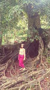 bali endonezya bali endonezya endonezya bali