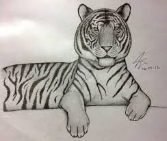 Related Image Tiger Face Drawing Pencil Drawings Easy Easy Drawings Sketches