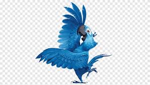 blue bird illustration macaw parrot fauna perico illustration rio2 blu 4 parakeet fauna png pngegg blue bird illustration macaw parrot