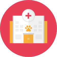 Fear free level 1 learn with flashcards, games and more — for free. Fear Free Pets Taking The Pet Out Of Petrified For All Animals