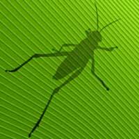 Grasshopper - le News di professione Architetto