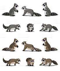 Set Of Raccoon Images Digital Painting Full Color Cartoon Style Raccoon Drawing Raccoon Illustration Raccoon Art
