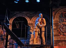 The White Rhino Report