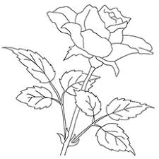 Over 100,000 pages to choose from. Top 47 Free Printable Flowers Coloring Pages Online