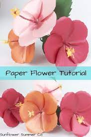 All of us trust you. Hibiscus Flower Template Paper Flower Template Free Paper Flower Templates Paper Flowers