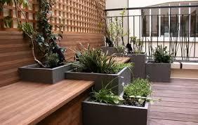 Fioriere con piante grasse decorate con cusci di frutti di. 19 Piante Per Balconi E Terrazzi Ventosi