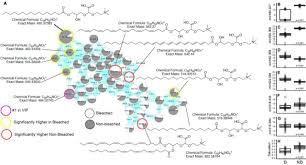 What is the vip program? Metabolomic Signatures Of Coral Bleaching History Biorxiv