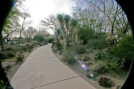 Henderson, nevada is a vibrant lifestyle and meetings destination located minutes from las vegas. Ethel M Cactus Garden Picture Of Hampton Inn And Suites Las Vegas Henderson Henderson Tripadvisor
