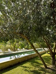 Les Plus Beaux Couloirs De Nage Couloir De Nage Amenagement Paysager De Piscine Piscine Amenagement Paysager