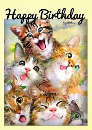 Image Discovered By Eladvi Find Images And Videos On We Heart It The App To Get Lost In What You Love Happy Birthday Cat Happy Birthday Pictures Animals