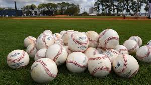 Teamwork, leadership, respect for others, and maximized effort are a few crucial principles that guide everything. Major League Baseball Expected To Suspend Spring Training Mlb Nbc Sports