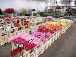 Our fresh flowers wholesale are fresh cut and specially packed each and every time. Fresh Flowers Supplies Savin Wholesalers