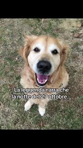 Addio Charlie: Il Ponte dell'Arcobaleno