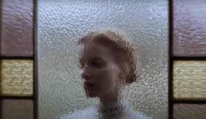 Rajasthani mms video A woman had filed a gang rape case