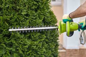 Dieser schritt ist nicht ratsam, denn die pflanzen mit den nadelartigen blättern erholen sich nicht davon. Thuja Hecke Schneiden So Geht S