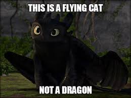 You Wondered Why You Love This Movie How Train Your Dragon How To Train Your Dragon How To Train Dragon