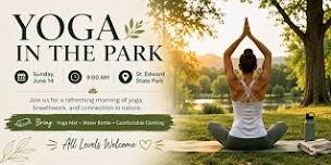 Yoga Immersion : Wellness & Community