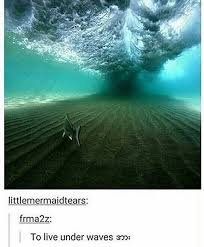 To Live Under In 2020 Scenery Pictures Cool Pictures