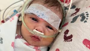 Fundraiser by Shea Ingram : Support Olivia's Heart Transplant Journey