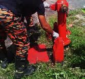 Bomba translated between spanish and english including synonyms, definitions, and related words. Pili Bomba Mengapa Ada Merah Dan Ada Yang Kuning