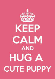 You also find here keep calm quotes. I Love Cute Puppies Calm Quotes Keep Calm Quotes Keep Calm