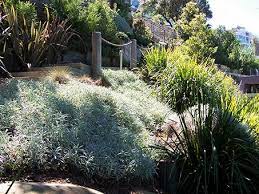 Joanne Green Seaforth Outdoor Garden Lighting Garden Lighting Landscape Design