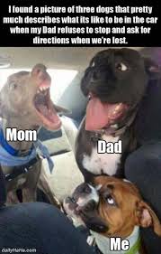 Funny Animals Pictures 140 41 Pict Funny Animal Jokes Funny Animal Memes Funny Animal Quotes