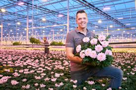 Hydroponic full spectrum cfl grow light bulb 60 watt bulb 5500k h60. Signify S Philips Greenpower Led Toplighting Compact Product Range Extension Simplifies Switch To Led Grow Lights In Greenhouses Signify Company Website