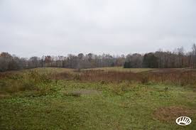 Typically, buyers can find 40 dale hollow lake homes for sale, and 80 lake lots and land for sale. Excellent Hunting And Fishing Property Near Dale Hollow Lake Whitetail Properties