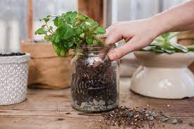Pots without drainage holes should never be used outdoors where your plant will get rained on because you have no way of regulating the amount of water your plant receives. How To Plant In A Pot Without Drainage Holes Potted Plant Landscaping Plants Ivy Plant Indoor