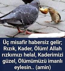 Serife Adli Kullanicinin Guzel Sozler Panosundaki Pin 2020 Dualar Dini Alintilar Guzel Soz
