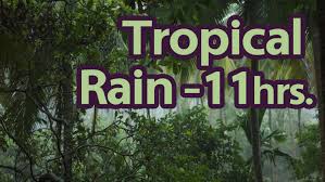 Tropical Rain Sounds Of Nature 1 Of 59 Pure Nature Sounds 11 Hours Nature Sounds Nature Music Sound Of Rain