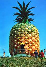 Pineapple House Houses Pineapples Architecture Design Https Apps Facebook Com Yangutu Spongebob Squarepants Crazy Houses