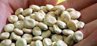 إليك فوائد ماسك الترمس المطحون للبشرة والتخلص من حب الشباب. Ù…Ù‚Ø§Ù„Ø© ÙÙˆØ§Ø¦Ø¯ Ø§Ù„ØªØ±Ù…Ø³ Ø§Ù„Ù…Ø± Ø§Ù„Ù…Ø·Ø­ÙˆÙ†