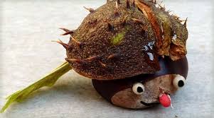 Vérifiez les traductions 'marron d'inde' en russe. Grandir Avec Nathan Les Marrons Mutants Marrons Bonnet Noel Bricolage Automne