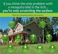 Check spelling or type a new query. Mosquito Control Pinecrest Lawn Doctor Of Coral Gables Kendall