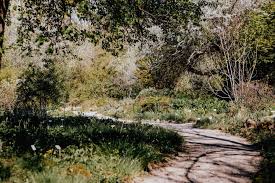 Botanischer volkspark pankow 83 km. Botanischer Garten Frankfurt Die Kleine Schwester Des Palmengartens Rhein Main Blog