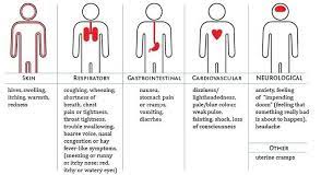 Anaphylactic Reactions Allergies Allergy Symptoms Food Allergies Awareness