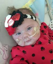 Our beloved Hailey is moving onward in her journey to add a new chapter to  her story! Hailey has been a huge part of CRB and has been with us since the