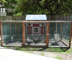Urban Farming Raising Backyard Chickens Urban Chicken Farming Chickens Backyard Urban Farming