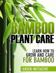 Bamboo Plant Care How To Grow And Care For Bamboo Ebook By Green Initiatives 9781476182582 Rakuten Kobo United States