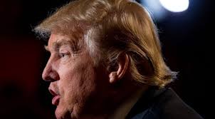 A Haircut Worse Than Trump's